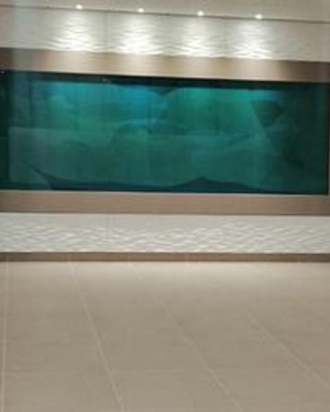 Exposition L'oeuvre de Guillaume Bottazzi pour le plaisir des sens