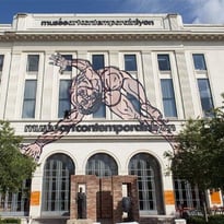 Le Mac Lyon Musée d'Art Contemporain Lyon