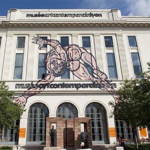 Le Mac Lyon Musée d'Art Contemporain Lyon