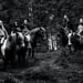 Ensiferum