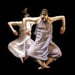 Ballet de l'opéra de Lyon
