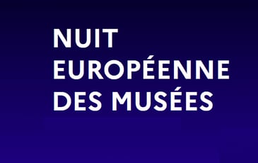 Nuit des musées à Lyon