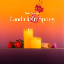 Candlelight Spring : Hommage à Ludovico Einaudi