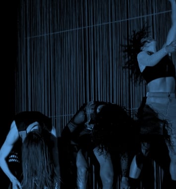 Festival Maison de la Danse