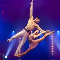 Cabaret Cirque Acte VIII