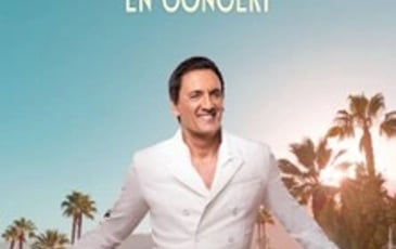 Dany Brillant, Best Of Tour