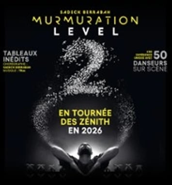 Murmuration Level 2