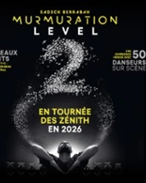 Murmuration Level 2