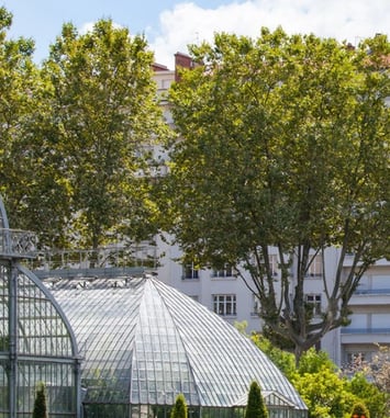 Les Estivales Lyon Nature