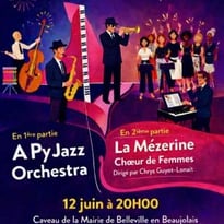 Concert de la Mézerine