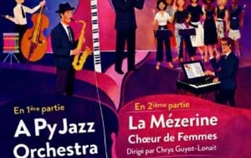 Concert de la Mézerine