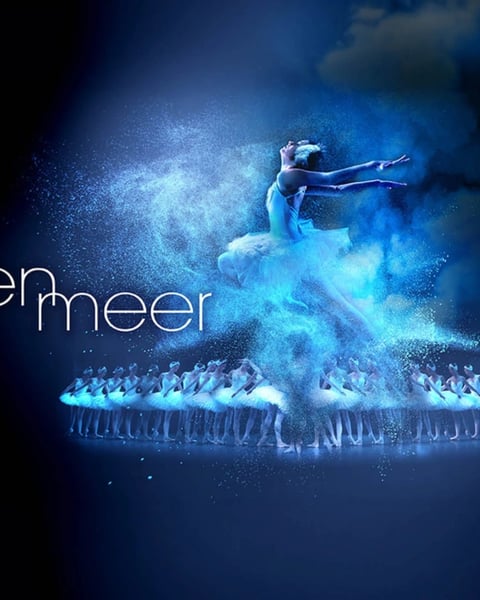 Le Lac des Cygnes Ballet et Orchestre