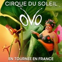 Cirque du Soleil, OVO