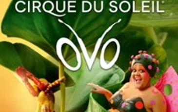 Cirque du Soleil, OVO