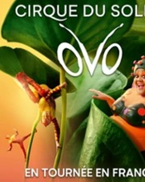 Cirque du Soleil, OVO