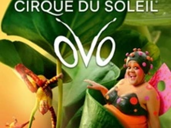 Cirque du Soleil, OVO