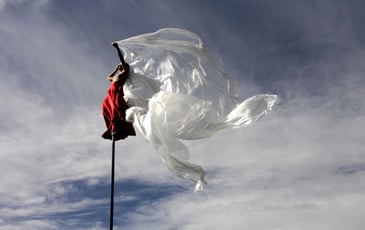 RoZéo de la compagnie Gratte Ciel