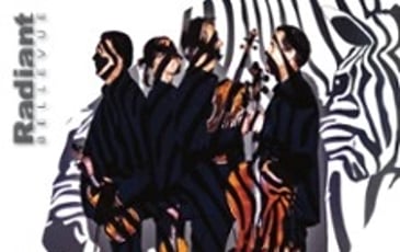Quatuor Debussy, Les Danses hongroises déchaînées !