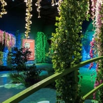 Claude Monet et l'expérience immersive