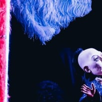 Cabaret Love