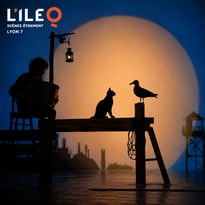 La mouette et le chat