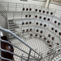 Le domaine Rockefeller : une belle histoire de la santé à Lyon
