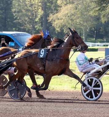 A la découverte de l'hippodrome et de ses côté coulisses pendant les courses