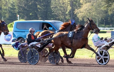 A la découverte de l'hippodrome et de ses côté coulisses pendant les courses