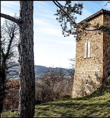 Visites commentées du pavillon de l'Écho