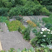 Visites guidées des jardins ouvriers des Eglantiers