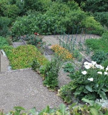Visites guidées des jardins ouvriers des Eglantiers