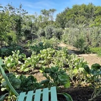 Portes ouvertes des jardins communaux
