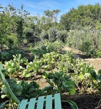 Portes ouvertes des jardins communaux