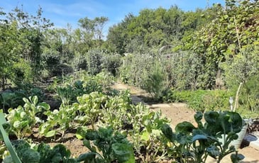 Portes ouvertes des jardins communaux