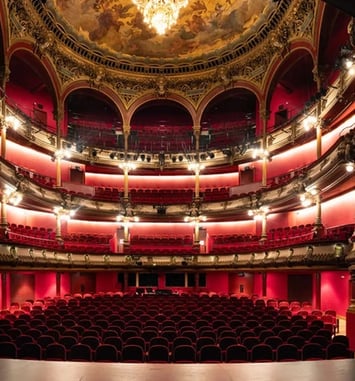 Visite des Célestins, Théâtre de Lyon