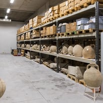 Visites « FOCUS » : Les réserves du musée