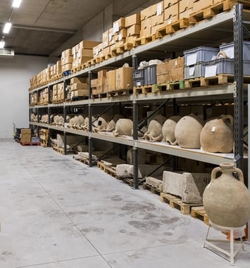 Visites « FOCUS » : Les réserves du musée