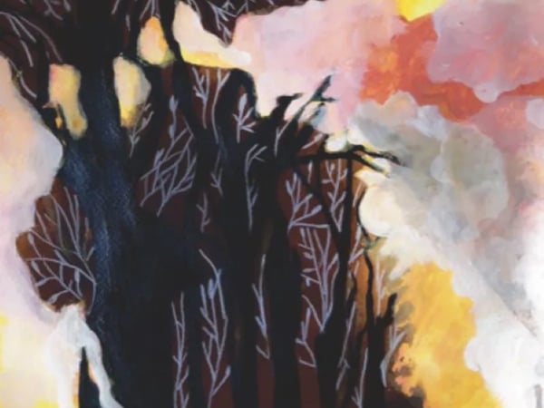 Feu la forêt
