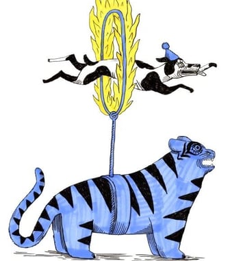 Bazar circus