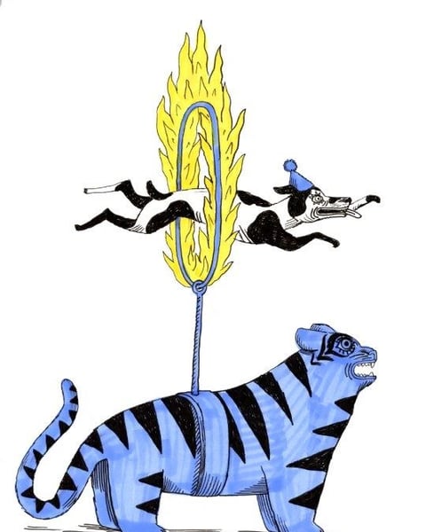 Bazar circus