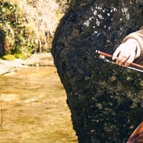 Gautier Capuçon et Simone Young