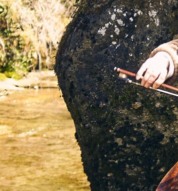 Gautier Capuçon et Simone Young