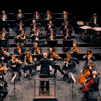 Concert Découverte #2