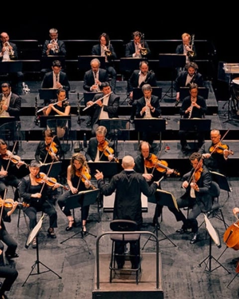 Concert Découverte #2