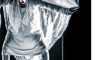 Le Delirium du Papillon