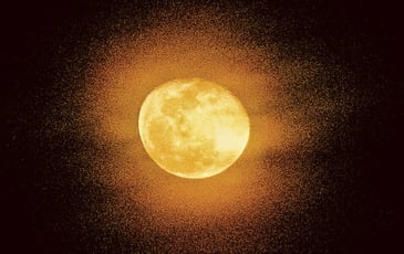 Mahabharata, une Histoire de la Violence