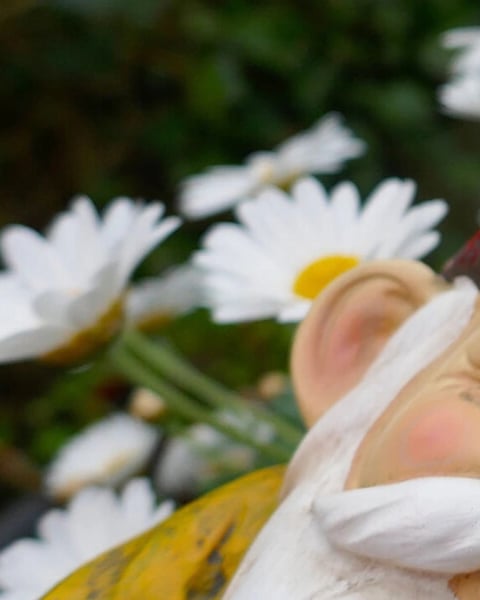 Amour, Gloire et Ciment !