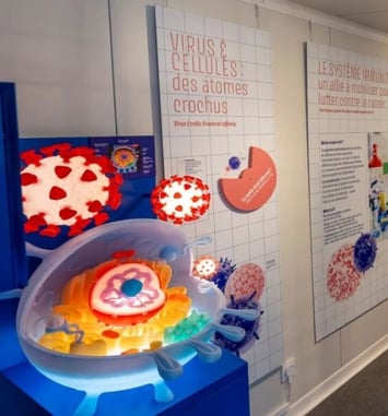 Cancers : la face cachée des virus