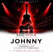 500 Voix pour Johnny, 10 ans après, tournée