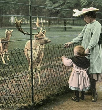 Histoire du Parc zoologique de Lyon